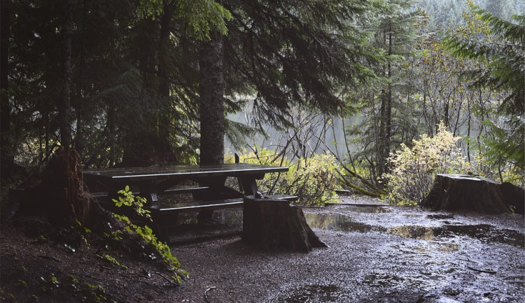 Tento týden nás čeká nepříznivé počasí s deštěm a větrem. Ke konci týdne se přidá sníh