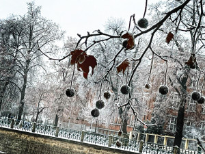 Neděle přinese mráz, námrazu a smog, řidiči by měli být opatrní