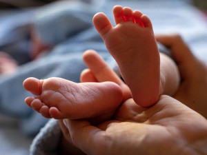 Prvním narozeným dítětem v krajských nemocnicích je Tobiáš. Na svět přišel v Trutnově