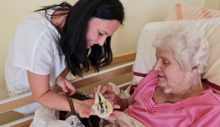 Věnovala se nemocným seniorům, teď sama potřebuje pomoc. Eva bojuje s agresivním nádorem na mozku