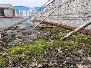 OBRAZEM: Rozpadlá Hvězda v Hradci Králové se promění na 180 bytů. Práce mají začít do dvou let