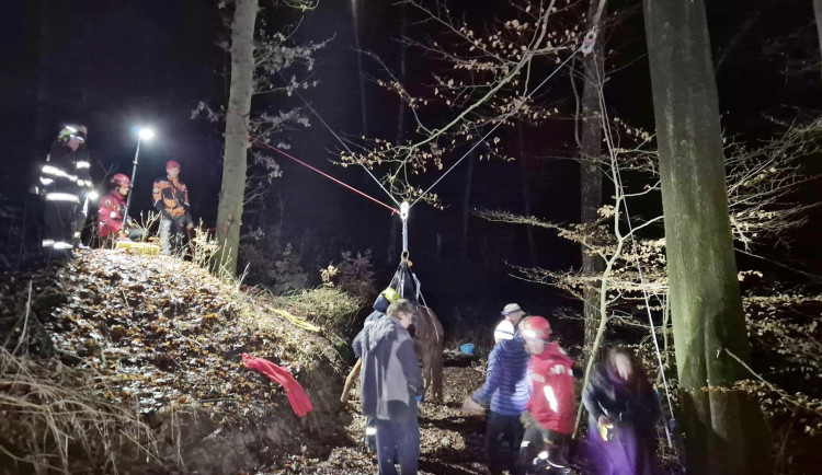 Noční zásah hasičů: s pomocí speciální záchranné sítě vytahovali v Českém ráji kobylu z 50 metrů hluboké rokle