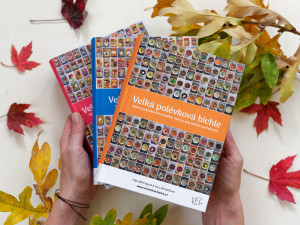 Pavlína s Veronikou sepsaly stovky receptů. Vymyslet ty zdravé je těžké, říkají