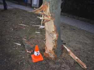 Svým autem urazil půl kmene stromu vedle silnice. Byl pod vlivem alkoholu