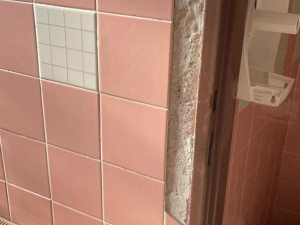 Vandal ve Dvoře Králové se vyřádil na veřejných záchodcích. Neviděli jste ho?