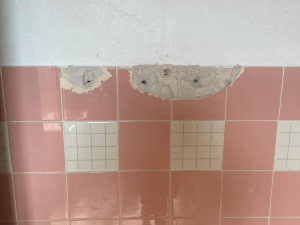 Vandal ve Dvoře Králové se vyřádil na veřejných záchodcích. Neviděli jste ho?