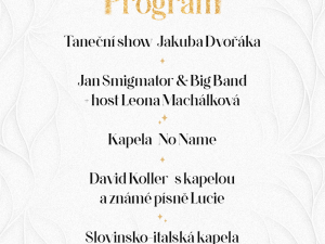 Zbývá 30 procent kapacity na nejprestižnější společenskou událost v Českých Budějovicích