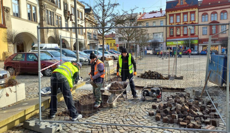 Dvůr Králové vyměňuje zeminu pod stromy kolem náměstí T. G. Masaryka