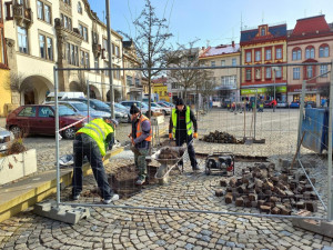 Dvůr Králové vyměňuje zeminu pod stromy kolem náměstí T. G. Masaryka