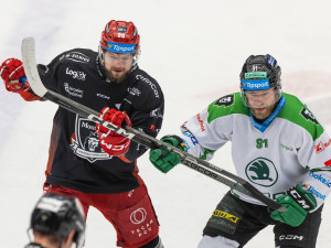 Jako když nás vytáhli ze zásuvky, kroutil hlavou trenér hradeckých Lvů Martinec