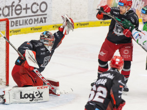 Jako když nás vytáhli ze zásuvky, kroutil hlavou trenér hradeckých Lvů Martinec