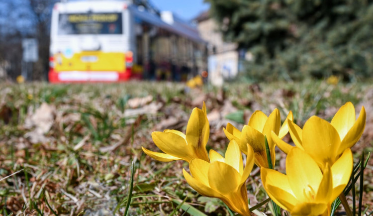 FOTO: V Hradci Králové rozkvetlo několik tisíc květin. Vysázeli je pracovníci technických služeb