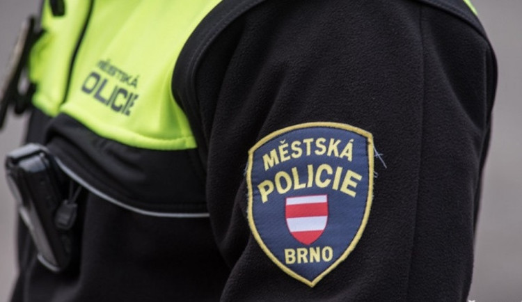 Strážníci jeli řešit hromadnou potyčku v Brně. Jeden z účastníků si lehl do trávy a předstíral, že odpočívá