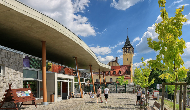 Zoo Liberec spouští u příležitosti Dne Země výzvu Třicet dní pro Zemi