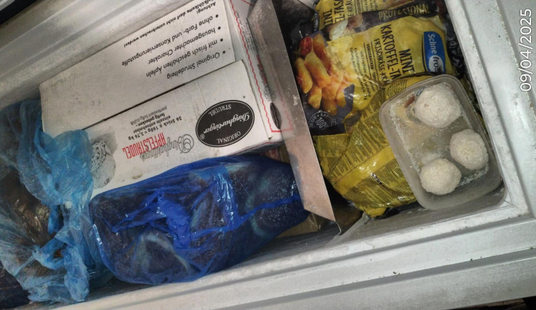 Mravenci v kuchyni, myší trus na baru. Inspekce uzavřela restauraci v Sokolově