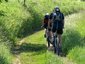 Cyklistická sezóna startuje akcí na cyklostezce Hradec Králové - Vysoká nad Labem