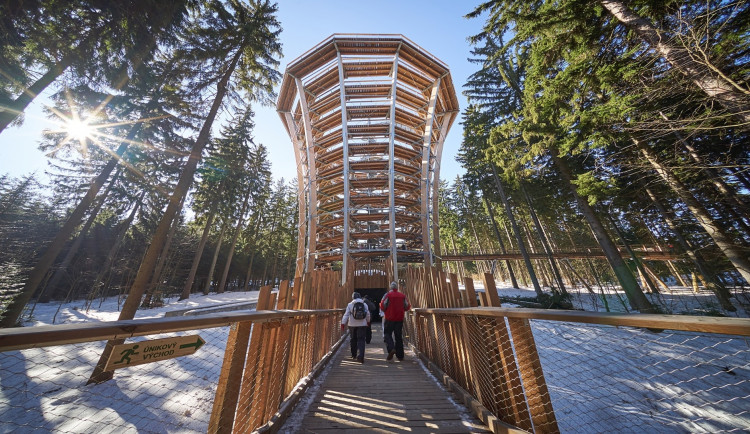 U krkonošské Stezky korunami stromů v Janských Lázních budou žít medvědi