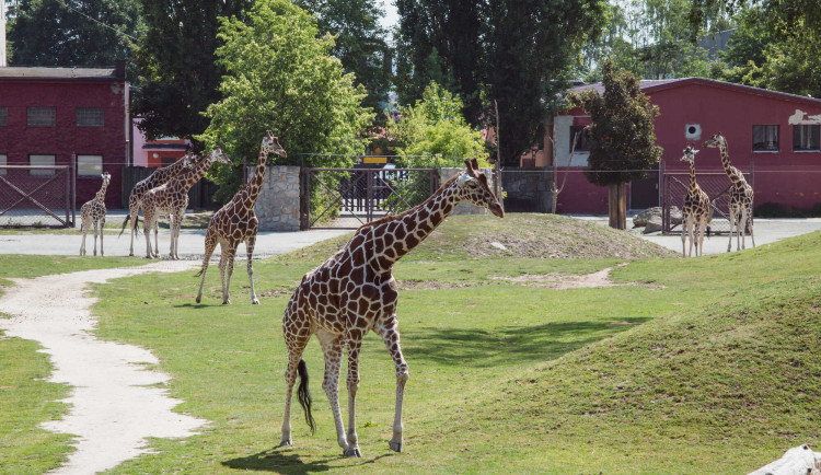 Objevte krásy Královéhradeckého kraje: Nejlepší tipy na výlety