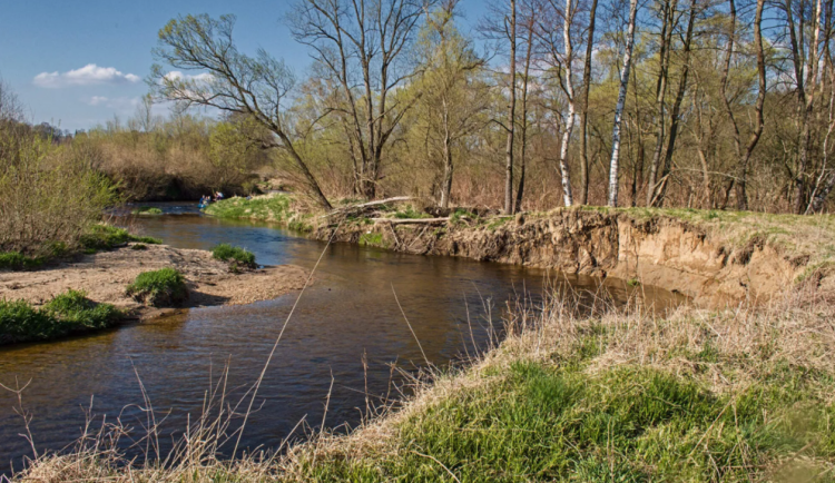 Dobrovolníci budou uklízet přírodní rezervaci Meandry Smědé. Přidat se může každý