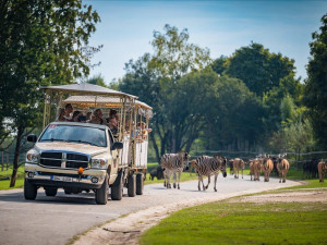 Safari Park Dvůr Králové za první čtyři dny letní sezony navštívily tisíce lidí