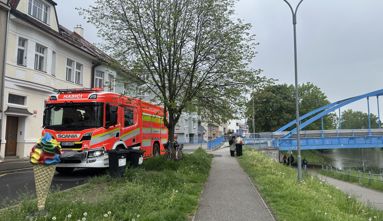 Mastná skvrna a mrtvé ryby. Hasiči monitorují podezřelé znečištění Malše