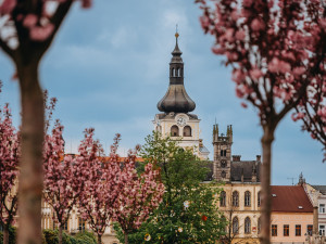 Městské informační centrum v Hořicích se po rekonstrukci vrací do radnice