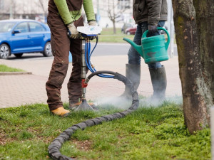Hradec Králové se brání suchu, stromy zavlažuje velkými vaky a půdní injektáží