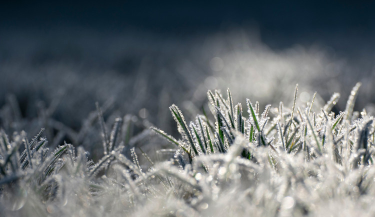 V noci opět mrzlo. Na Jizerce naměřili -6,8 stupňů, v Hejnicích -4,7