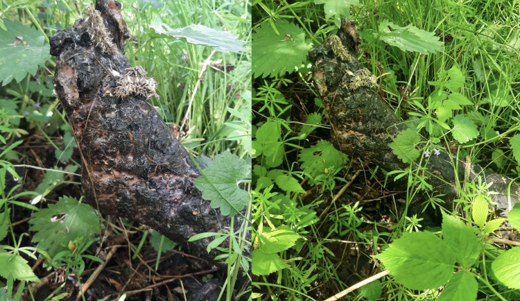 Našel jsem lidskou nohu, ohlásil svědek na linku 158. Záhadu rozluštila až policie