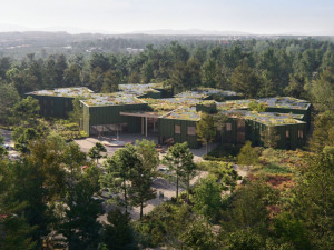 V Hradci Králové bude stát největší dřevostavba v zemi. Cena se odhaduje na 1,5 miliardy