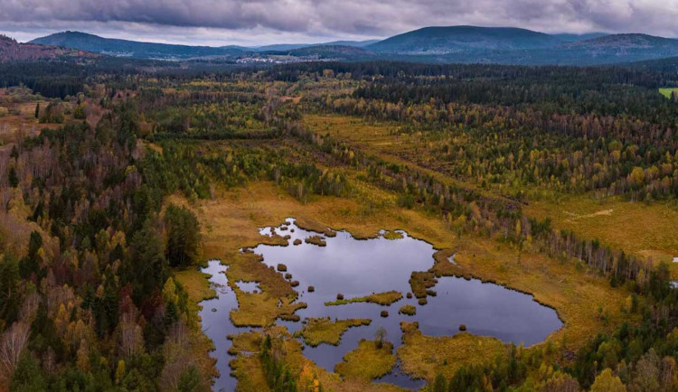 Šumava vysychá. Půda praská a Teplá Vltava zůstává bez lodí