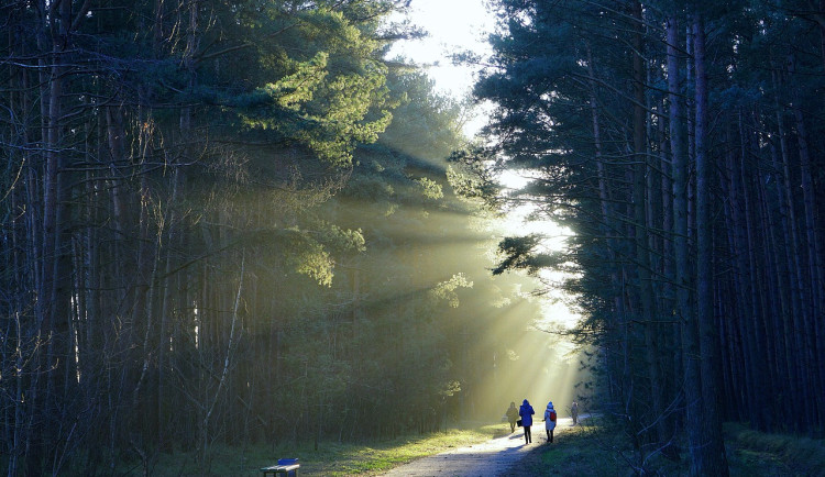 Stezka 2.0: Nový Hradec dává druhou šanci projektu, který měl skončit v šuplíku