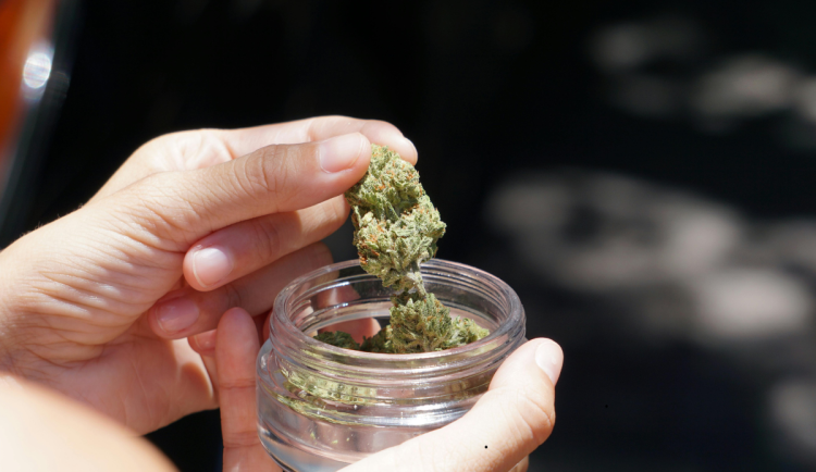 V Jičíně odhalili dva dealery pervitinu a marihuany, hrozí jim až pět let vězení