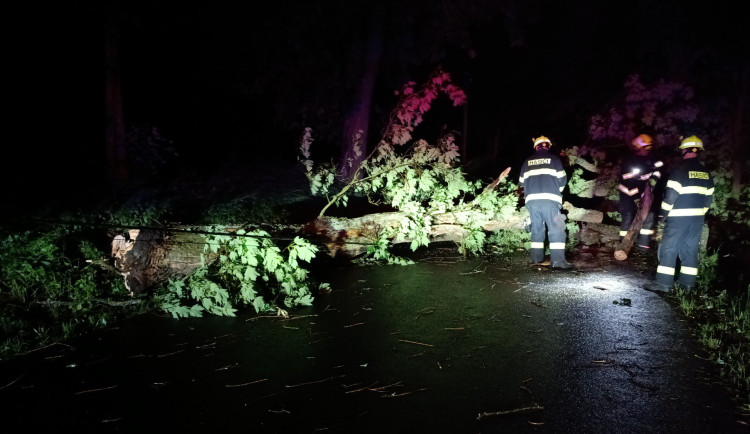 Hasiči řešili kvůli bouřkám hlavně popadané stromy