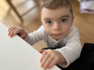 Samík z Vamberka bojuje s těžkou nemocí. Léčba stojí tisíce měsíčně a pojišťovna nepomáhá