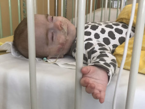 Samík z Vamberka bojuje s těžkou nemocí. Léčba stojí tisíce měsíčně a pojišťovna nepomáhá