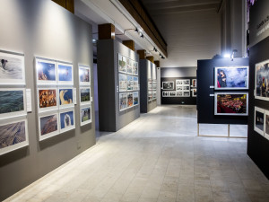 Výstava Czech Press Photo v Hradci Králové: fascinující svět fotografie