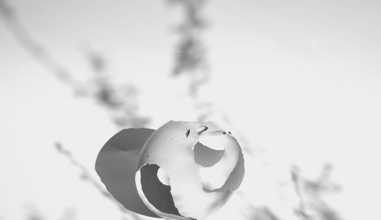 Maria Bartuszová, foto: Soňa Bartuszová