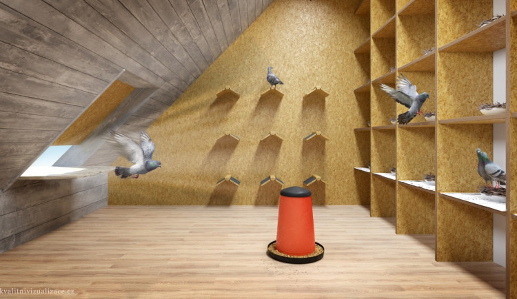 Městský holubník od Elišky Trunečkové - ilustrační