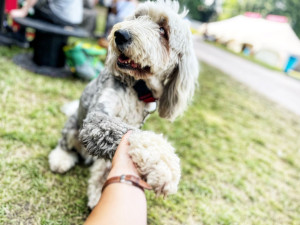 REGIONY jdou do finále, centrum Hradce Králové zaplnily jedinečnou atmosférou
