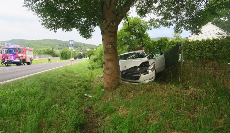 Řidič zřejmě usnul za volantem, narazil do stromu a skončil v plotě