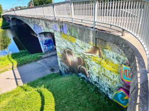 ANKETA: Hradecká malba prsatice nevydržela. Někdo jí popsal fakta o sexuálním násilí