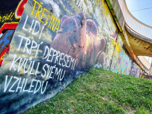 ANKETA: Hradecká malba prsatice nevydržela. Někdo jí popsal fakta o sexuálním násilí