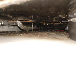 Inspektoři zavřeli kvůli myšímu trusu a špíně hradeckou hospodu Šrámkův statek