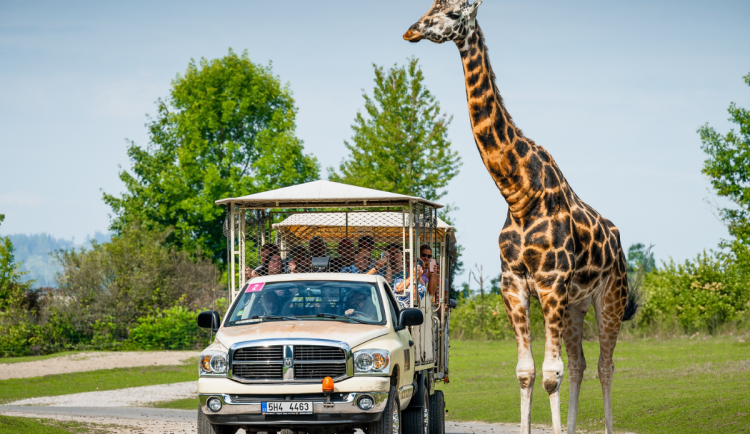 Turisty loni v hradeckém kraji nejvíc lákaly zoo, Adršpach a lanovka na Sněžku