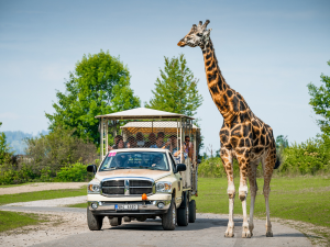 Turisty loni v hradeckém kraji nejvíc lákaly zoo, Adršpach a lanovka na Sněžku