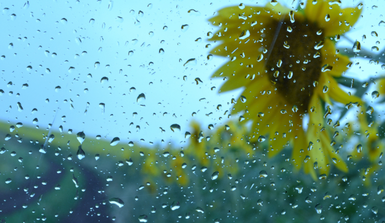 Během týdne se bude počasí lepšit jen postupně. Očekáváme přeháňky a ojedinělé bouřky