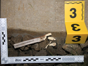 Vlak v Chotěvicích zastavily kameny na trati, pachateli hrozí až osm let