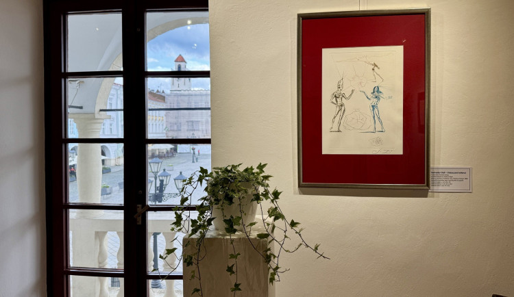 Unikátní výstavu grafik Salvadora Dalího aktuálně hostí výstavní síň v Novém Jičíně