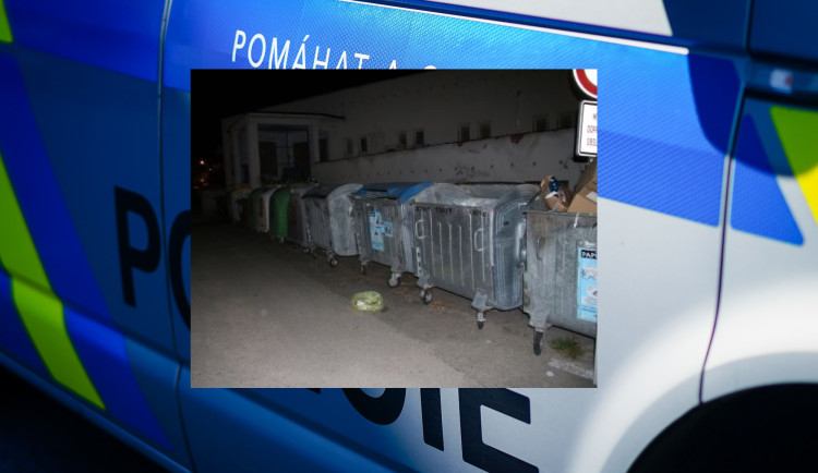 Do kontejneru někdo odhodil v pytli dvě koťata. Obě zemřela, policie hledá pachatele